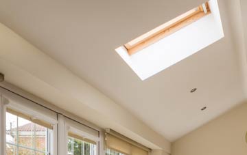 Badnagie conservatory roof insulation companies