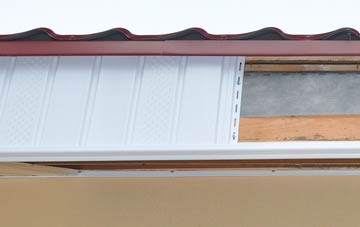 Badnagie fascia repair costs