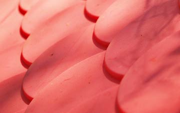 Badnagie plastic roof costs