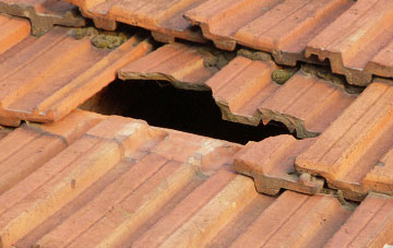 roof repair Badnagie, Highland