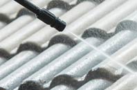 rated Badnagie roof cleaning companies