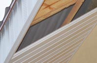 rated Badnagie soffit repair companies
